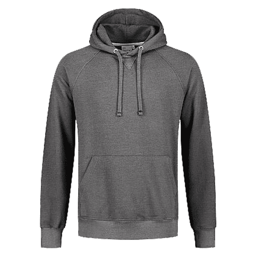 Santino hooded sweater Rens - dark grey
